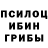 Галлюциногенные грибы прущие грибы Muffin Mcstud