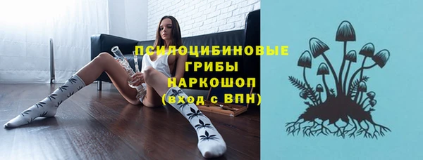 ПСИЛОЦИБИНОВЫЕ ГРИБЫ Сосновка