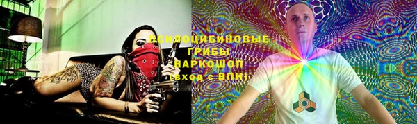 ПСИЛОЦИБИНОВЫЕ ГРИБЫ Сосновка