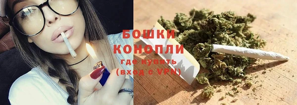 ПСИЛОЦИБИНОВЫЕ ГРИБЫ Сосновка