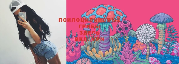 ПСИЛОЦИБИНОВЫЕ ГРИБЫ Сосновка
