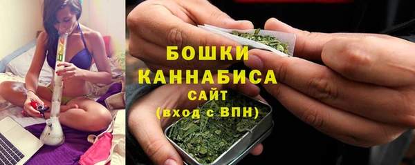 ПСИЛОЦИБИНОВЫЕ ГРИБЫ Сосновка